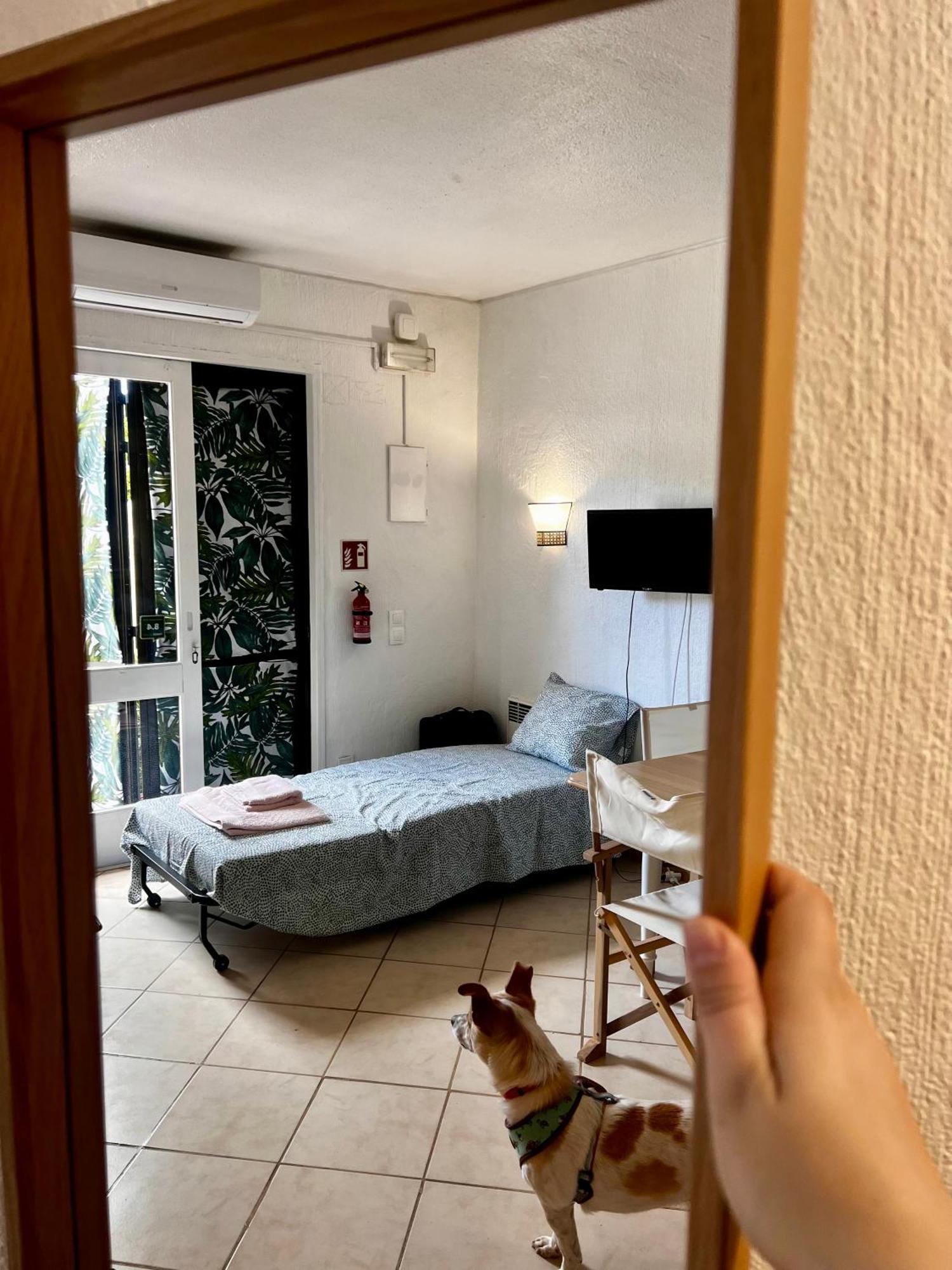 Appartement Jardim T0