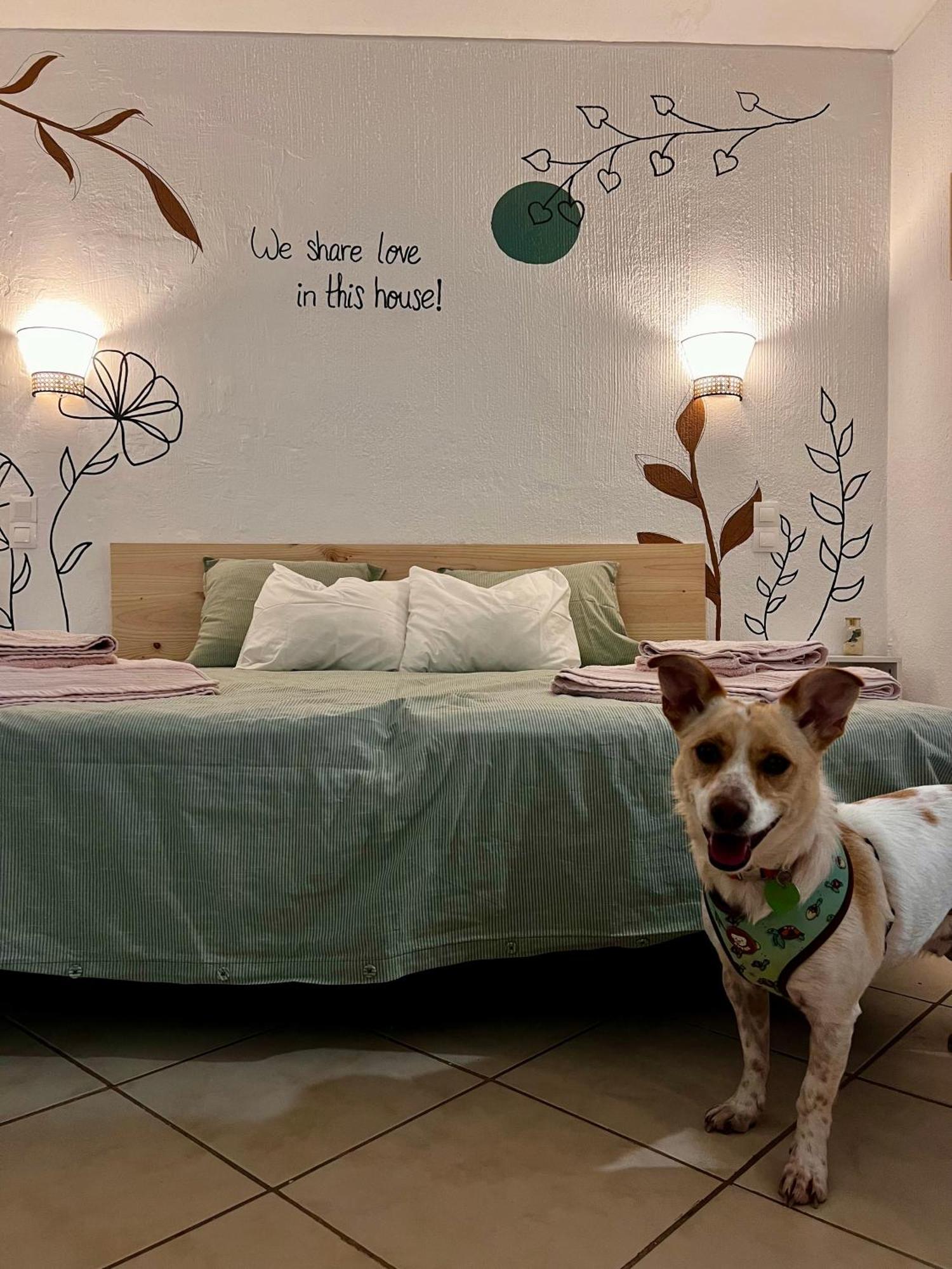Apartment Jardim T0